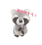 アライグマのポン太（個別スタンプ：5）