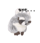 アライグマのポン太（個別スタンプ：7）