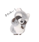 アライグマのポン太（個別スタンプ：8）