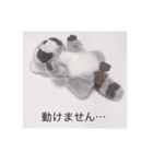 アライグマのポン太（個別スタンプ：9）
