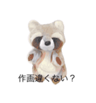 アライグマのポン太（個別スタンプ：13）