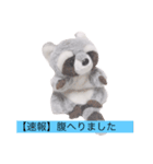 アライグマのポン太（個別スタンプ：14）
