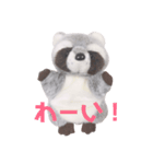 アライグマのポン太（個別スタンプ：15）