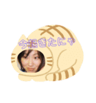 ゆかりちゃんだにゃ（個別スタンプ：1）