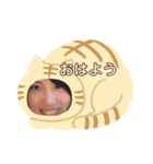 ゆかりちゃんだにゃ（個別スタンプ：13）