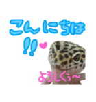ポテトともちちゃん（個別スタンプ：1）