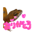 ポテトともちちゃん（個別スタンプ：6）