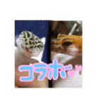 ポテトともちちゃん（個別スタンプ：12）