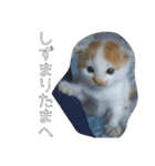 ねコスタンぷ（個別スタンプ：7）