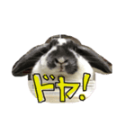 となりん（個別スタンプ：6）