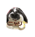 となりん（個別スタンプ：7）