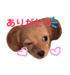 むぎすたんぷ(╯•ꀾ•╰)（個別スタンプ：1）