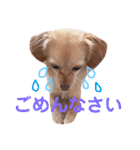 むぎすたんぷ(╯•ꀾ•╰)（個別スタンプ：2）