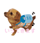 むぎすたんぷ(╯•ꀾ•╰)（個別スタンプ：4）