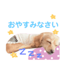 むぎすたんぷ(╯•ꀾ•╰)（個別スタンプ：6）