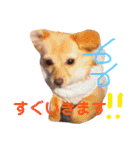 むぎすたんぷ(╯•ꀾ•╰)（個別スタンプ：7）