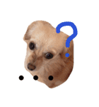 むぎすたんぷ(╯•ꀾ•╰)（個別スタンプ：8）