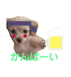 むぎすたんぷ(╯•ꀾ•╰)（個別スタンプ：9）