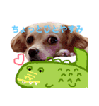 むぎすたんぷ(╯•ꀾ•╰)（個別スタンプ：10）