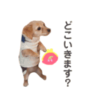 むぎすたんぷ(╯•ꀾ•╰)（個別スタンプ：12）