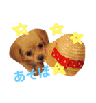 むぎすたんぷ(╯•ꀾ•╰)（個別スタンプ：13）