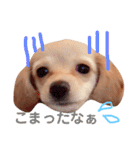 むぎすたんぷ(╯•ꀾ•╰)（個別スタンプ：14）