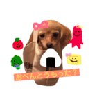 むぎすたんぷ(╯•ꀾ•╰)（個別スタンプ：16）