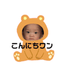 らんちゃんのスタンプだよ（個別スタンプ：1）