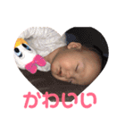 らんちゃんのスタンプだよ（個別スタンプ：14）