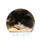 元帥のひとこと（個別スタンプ：2）