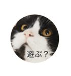 元帥のひとこと（個別スタンプ：5）