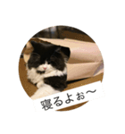 元帥のひとこと（個別スタンプ：6）
