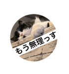 元帥のひとこと（個別スタンプ：8）