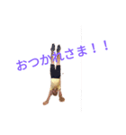 膝小僧お仕置きストしんぺースタンプ（個別スタンプ：9）