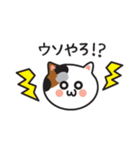 関西弁のカワイイ三毛猫ちゃん（個別スタンプ：12）