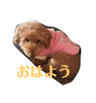 花ちゃんのスタンプ①（個別スタンプ：4）