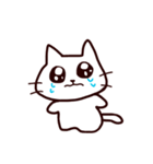 うるめで語りかけてくるネコさん（個別スタンプ：20）
