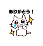 うるめで語りかけてくるネコさん（個別スタンプ：23）