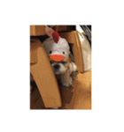 なつお（個別スタンプ：9）