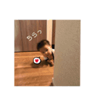 りんりん♬スタンプ3（個別スタンプ：14）