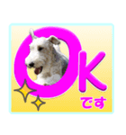 ワイアーフォックステリアの日常会話（個別スタンプ：2）