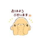 ほのぼの*トイプードル*（個別スタンプ：1）