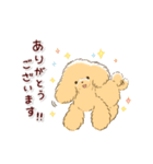 ほのぼの*トイプードル*（個別スタンプ：3）