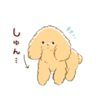ほのぼの*トイプードル*（個別スタンプ：5）