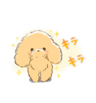ほのぼの*トイプードル*（個別スタンプ：6）