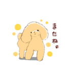 ほのぼの*トイプードル*（個別スタンプ：8）