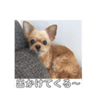 クレアレフィガルフィのスタンプ④（個別スタンプ：7）