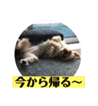 クレアレフィガルフィのスタンプ④（個別スタンプ：11）