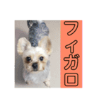 クレアレフィガルフィのスタンプ④（個別スタンプ：13）