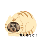 うちの子たーち（個別スタンプ：15）